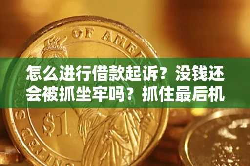北京怎么进行借款起诉？没钱还会被抓坐牢吗？抓住最后机会！