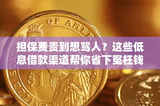 北京担保费贵到想骂人？这些低息借款渠道帮你省下冤枉钱