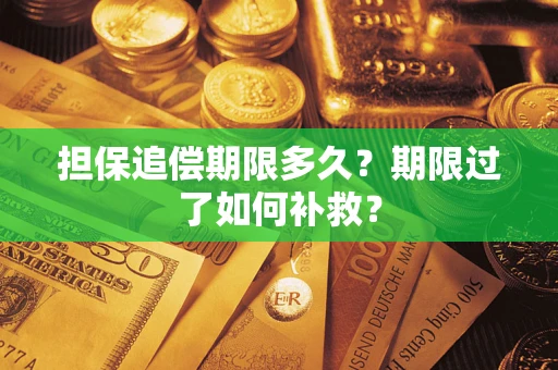 北京担保追偿期限多久？期限过了如何补救？