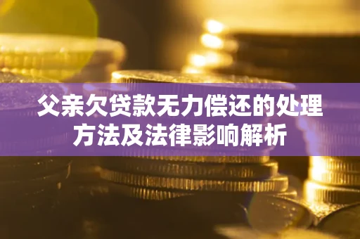北京父亲欠贷款无力偿还的处理方法及法律影响解析